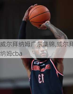 威尔拜纳姆广东集锦,威尔拜纳姆cba