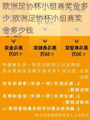 欧洲足协杯小组赛奖金多少,欧洲足协杯小组赛奖金多少钱