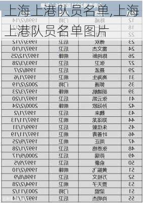 上海上港队员名单,上海上港队员名单图片