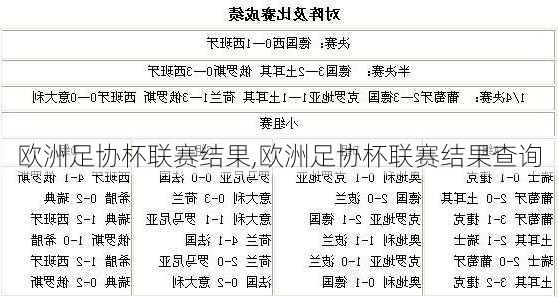 欧洲足协杯联赛结果,欧洲足协杯联赛结果查询