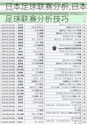 日本足球联赛分析,日本足球联赛分析技巧