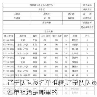 辽宁队队员名单祖籍,辽宁队队员名单祖籍是哪里的