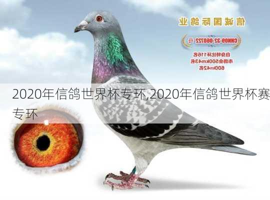 2020年信鸽世界杯专环,2020年信鸽世界杯赛专环