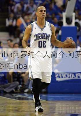 nba阿罗约个人简介,阿罗约在nba