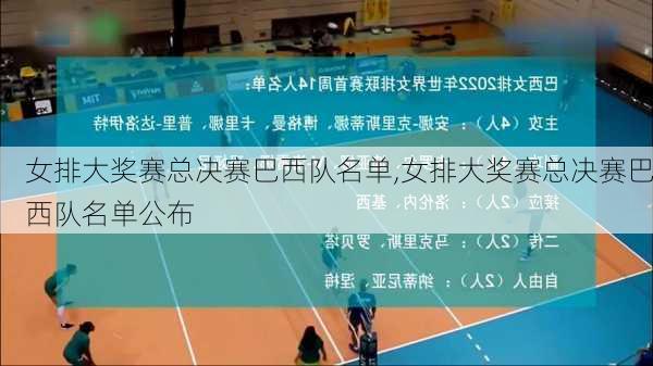 女排大奖赛总决赛巴西队名单,女排大奖赛总决赛巴西队名单公布