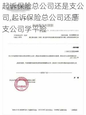 起诉保险总公司还是支公司,起诉保险总公司还是支公司学平险