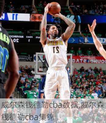 威尔森钱德勒cba数据,威尔森钱德勒cba集锦