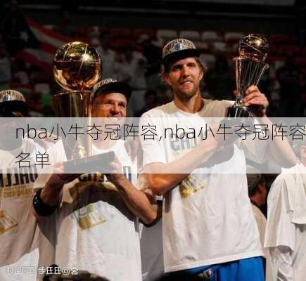 nba小牛夺冠阵容,nba小牛夺冠阵容名单