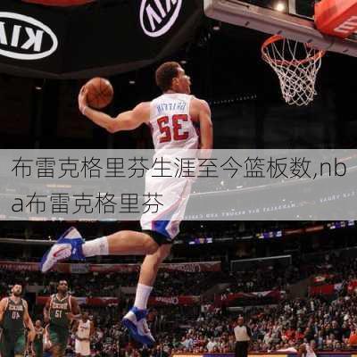 布雷克格里芬生涯至今篮板数,nba布雷克格里芬