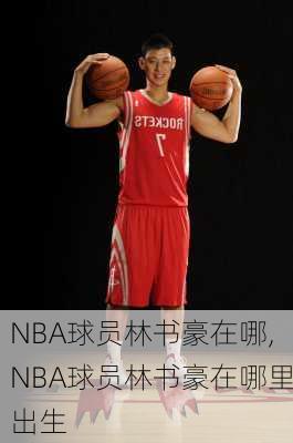 NBA球员林书豪在哪,NBA球员林书豪在哪里出生