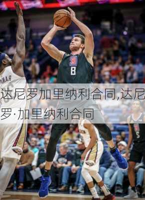 达尼罗加里纳利合同,达尼罗·加里纳利合同