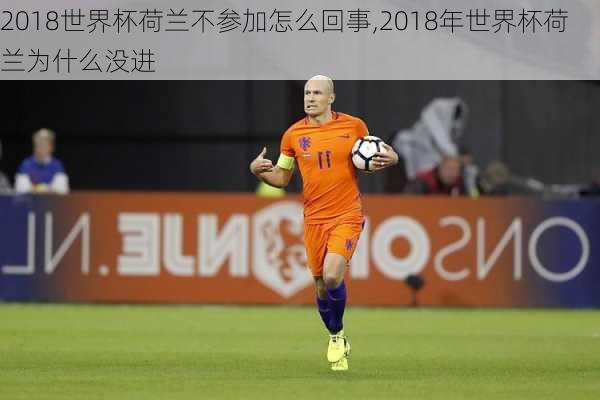 2018世界杯荷兰不参加怎么回事,2018年世界杯荷兰为什么没进