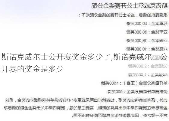 斯诺克威尔士公开赛奖金多少了,斯诺克威尔士公开赛的奖金是多少