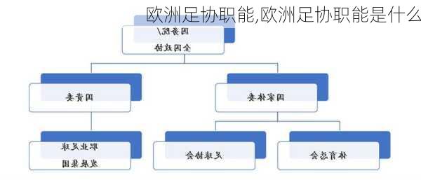 欧洲足协职能,欧洲足协职能是什么