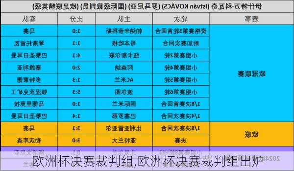 欧洲杯决赛裁判组,欧洲杯决赛裁判组出炉