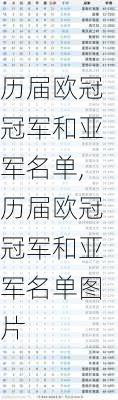 历届欧冠冠军和亚军名单,历届欧冠冠军和亚军名单图片