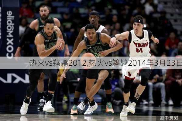 热火vs鹈鹕2012,热火vs鹈鹕2014年3月23日