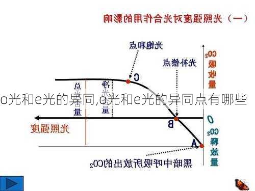 o光和e光的异同,o光和e光的异同点有哪些