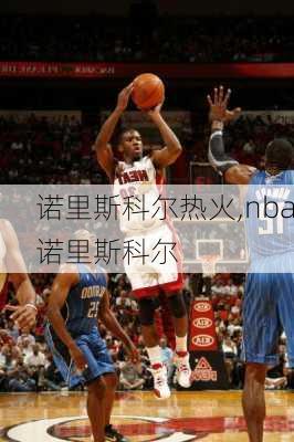 诺里斯科尔热火,nba诺里斯科尔