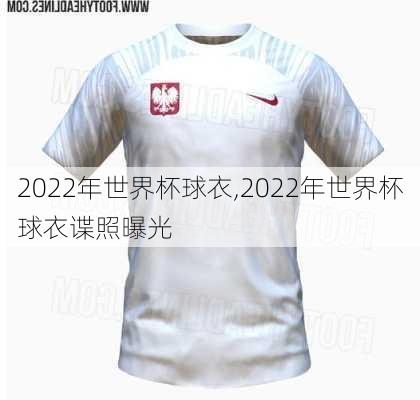 2022年世界杯球衣,2022年世界杯球衣谍照曝光