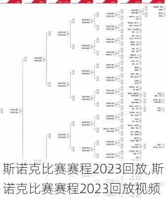 斯诺克比赛赛程2023回放,斯诺克比赛赛程2023回放视频