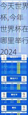 今天世界杯,今年世界杯在哪里举行2024