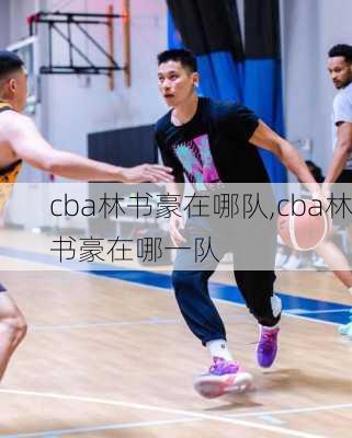 cba林书豪在哪队,cba林书豪在哪一队