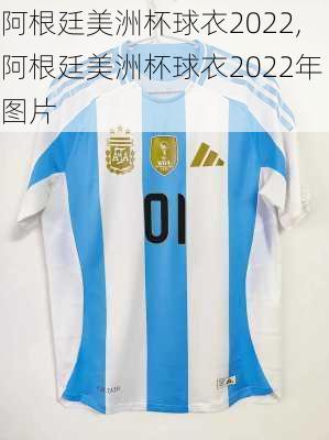 阿根廷美洲杯球衣2022,阿根廷美洲杯球衣2022年图片