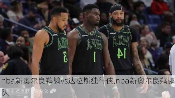 nba新奥尔良鹈鹕vs达拉斯独行侠,nba新奥尔良鹈鹕队