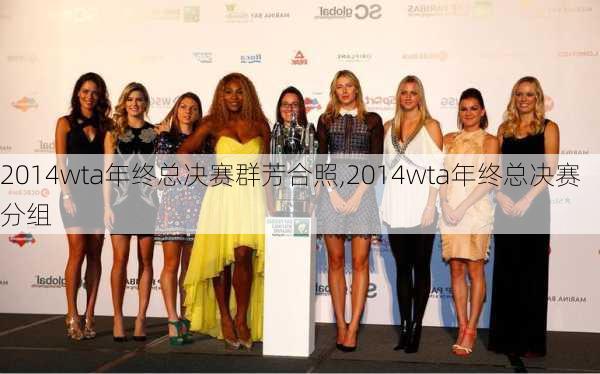 2014wta年终总决赛群芳合照,2014wta年终总决赛分组