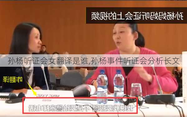 孙杨听证会女翻译是谁,孙杨事件听证会分析长文