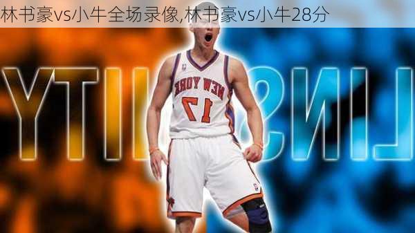 林书豪vs小牛全场录像,林书豪vs小牛28分