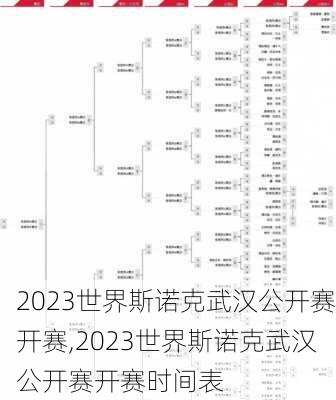 2023世界斯诺克武汉公开赛开赛,2023世界斯诺克武汉公开赛开赛时间表