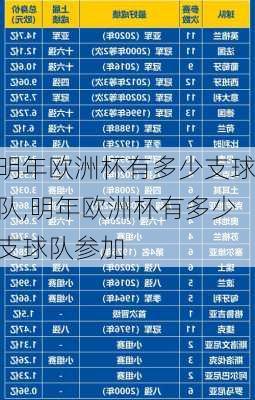 明年欧洲杯有多少支球队,明年欧洲杯有多少支球队参加