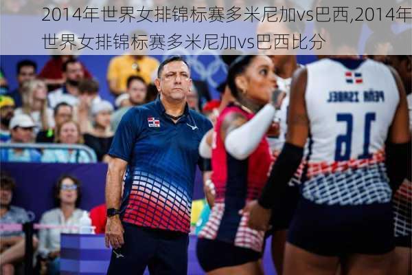 2014年世界女排锦标赛多米尼加vs巴西,2014年世界女排锦标赛多米尼加vs巴西比分