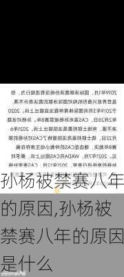 孙杨被禁赛八年的原因,孙杨被禁赛八年的原因是什么