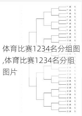 体育比赛1234名分组图,体育比赛1234名分组图片