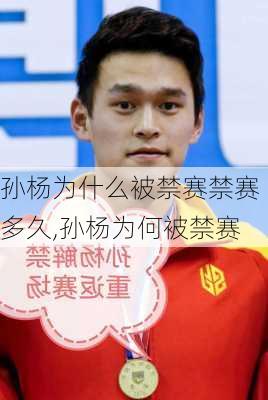 孙杨为什么被禁赛禁赛多久,孙杨为何被禁赛